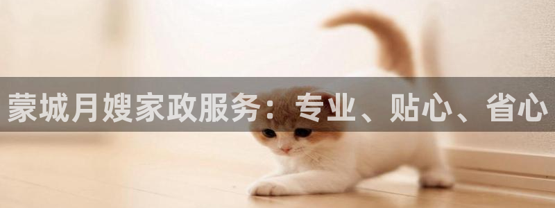 杏悦平台代理怎么样啊