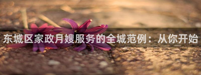 杏悦平台注册流程