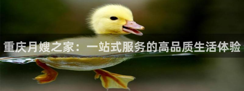 杏悦官网注册信息在哪里找