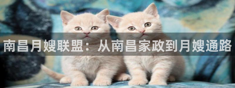 杏悦平台可靠吗可信吗