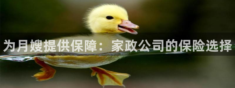 杏悦娱乐注册平台有哪些